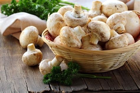 Шампиньоны – Грибы шампиньоны. Польза и вред. Как вкусно приготовить ...