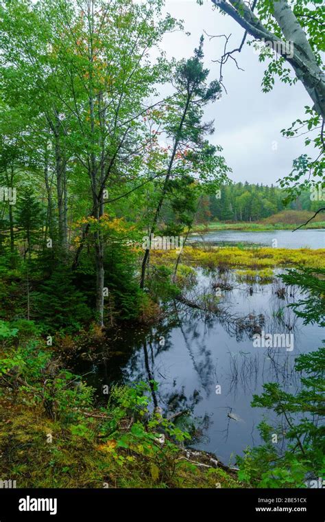 Views Of Ingonish Beach And Freshwater Lake In Cape Breton Highlands