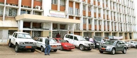 Lutte Contre Le Vih Sida Le Gouvernement Au Premier Plan Cameroun