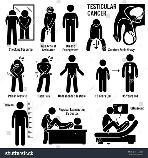 132 Penile Cancer Images, Stock Photos & Vectors | Shutterstock