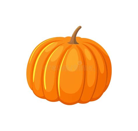 Vector Aislado Icono Vegetal Redondeado Fresco De La Calabaza