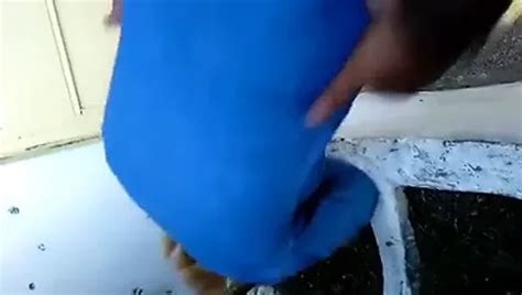 Matusa Marica Umbla Dupa Pula Free In Romanian Porn Video XHamster