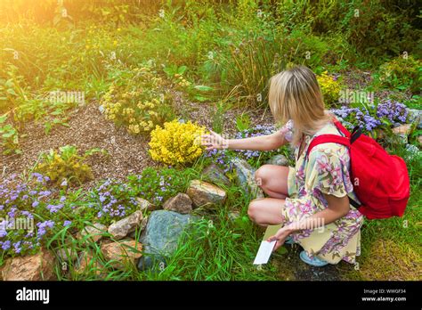 Eine Junge Blonde M Dchen In Einem Gelben Kleid Mit Einem Roten Rucksack Auf Dem R Cken Und Ein