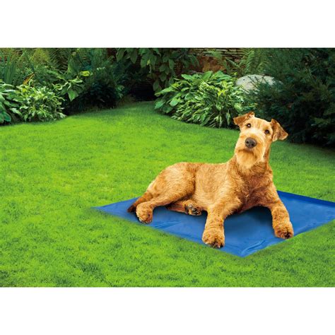Clever Paws Pet Cooling Mat