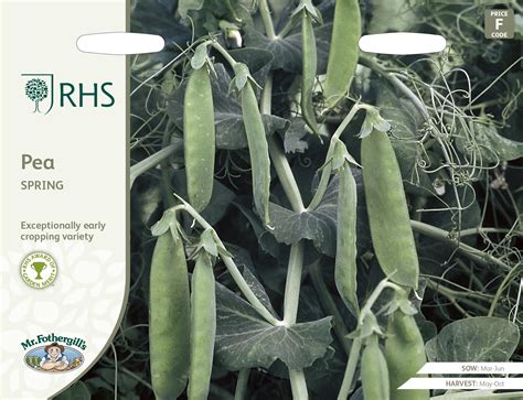 Mr Fothergills Rhs Vegetable Pea Spring 300 Seeds Justseed