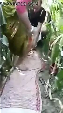 Forest Sex Public Sex Hardcore Porn Xhamster