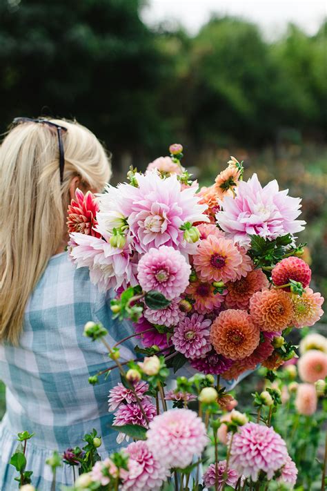 Flower Subscriptions Field Gate Flowers