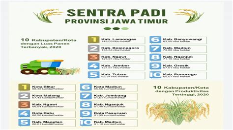 Luas Panen Dan Produksi Padi Kabupaten Lamongan Tertinggi Se Jawa Timur