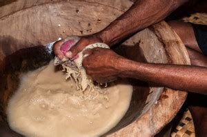 Things to Know About Traditional Fijian Kava Ceremony