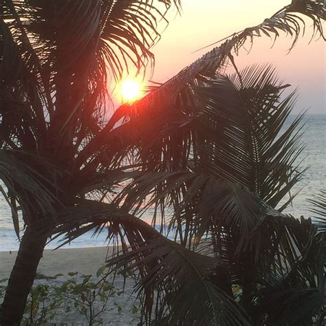 Samudra Beach Resort Prices And Hotel Reviews Munambam Beach India