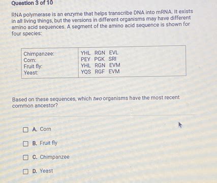 Solved: Question 3 of 10 RNA polymerase is an enzyme that helps ...