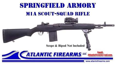 M1a Scout Squad Rifle