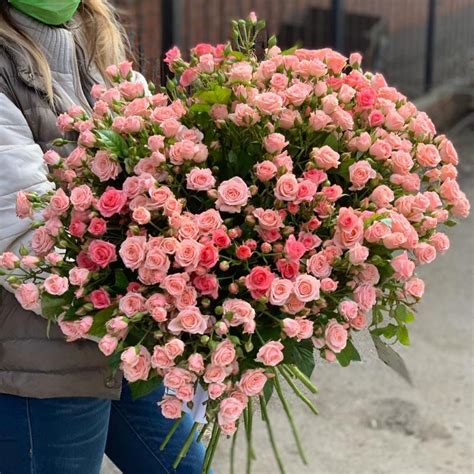 Розы мелкие кустовые (76 фото)