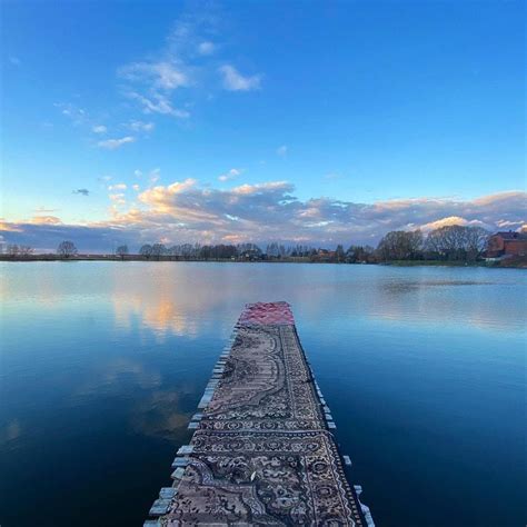 ковёр :: дорого-богато :: хз какие теги / смешные картинки и другие ...