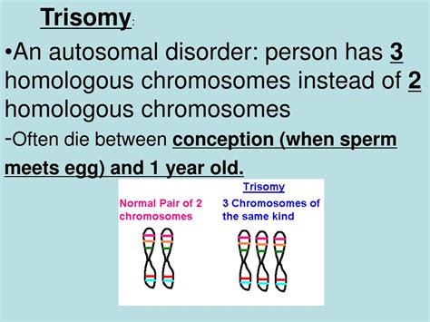 Ppt Genetic Disorders Autosomal Sex Linked Traits Powerpoint Presentation Id