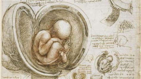 Una colección de Da Vinci muestra su pasión por el cuerpo humano