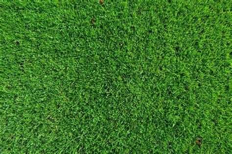 Turf Wallpapers - Wallpaper Cave