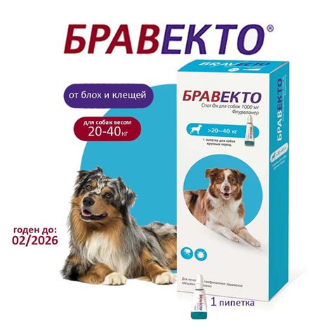 Бравекто (Bravecto) капли для собак весом 20 - 40 кг. от клещей и блох ...