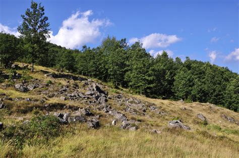 รูปภาพTerranova – เลือกดูภาพถ่ายสต็อก เวกเตอร์ และวิดีโอ607 | Adobe Stock