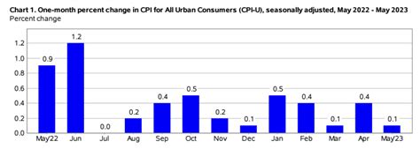 The Consumer Price Index Rose 0 1 Seasonally Adjusted In May And Rose