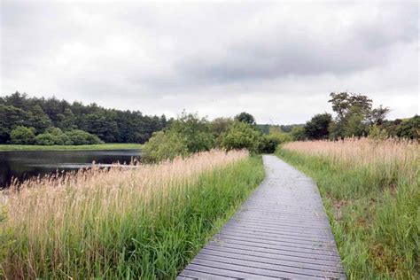 Blessington Greenway – takemewalking.com