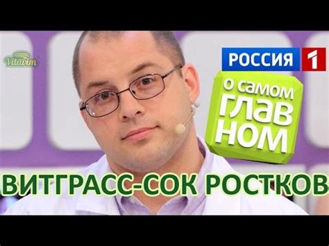 Витграсс wheatgrass, сок ростков, отзывы, польза и вред в программе С ...