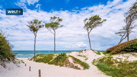 Urlaub an der Ostsee: Diese Strände sind besonders – fünf Tipps - WELT