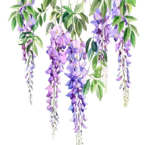 A Drawing Of Purple Flowers With Green Leaves Premium Ai Generated Image