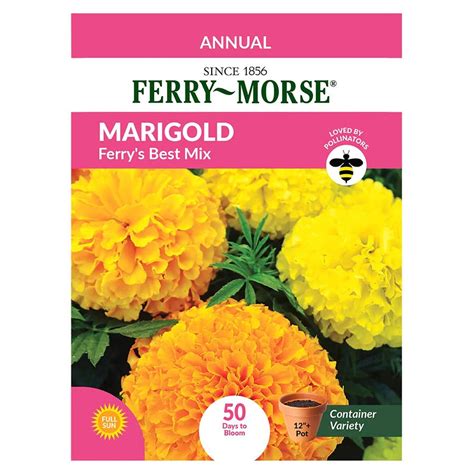 Ferry Morse Marigold Seeds