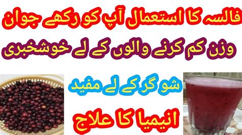 Amazing Health Benefits Of Phalsa Falsa Fruit Benefits Szofficial05 Youtube