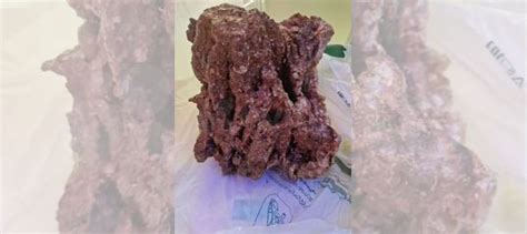 Живые камни для Морского аквариума купить в Москве | Животные и ...