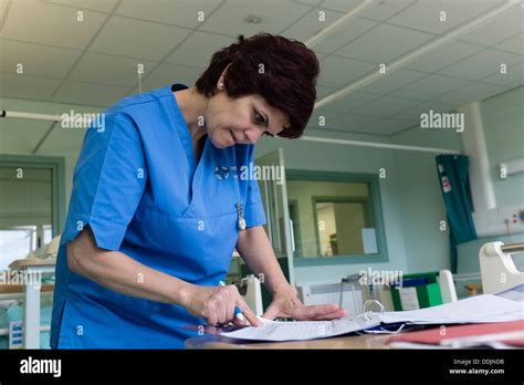 Nursing Assistant Hospital Uk Hi Res Stock Photography And Images Alamy