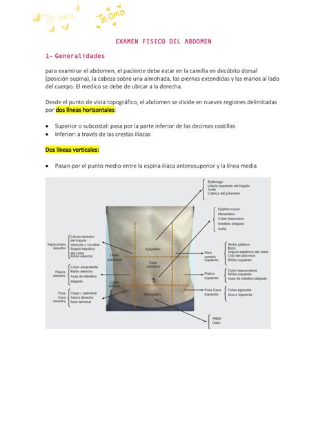 Examen Fisico DEL Abdomen Semiologia Argente Alvarez UCEVA Studocu