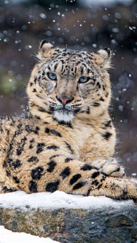 Do You Masturbate While Watching Porn Ask Yourself These 5 Questions