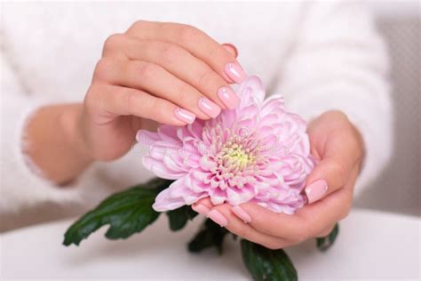 Female Hands With Nude Manicure Nails Stock Photo Image Of Girl Treatment
