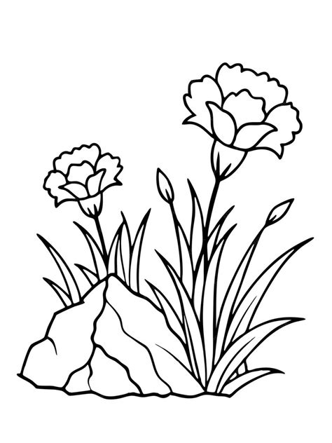 Coloring Book Page Carnations Flowers On A White Background Premium