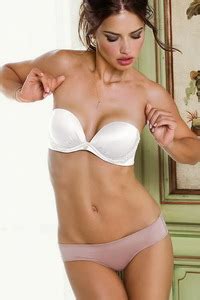Adriana Lima Victorias Secret Lingerie Gallery Celeb Matrix At Pbabes