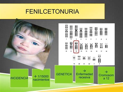 Fenilcetonuria Pku Ppt