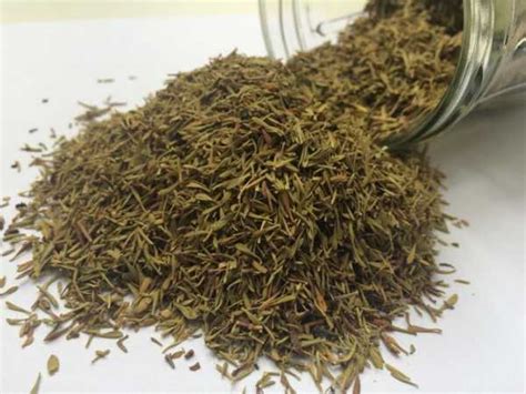 Трава чабер полезные свойства – Лечебные свойства чабера и ...