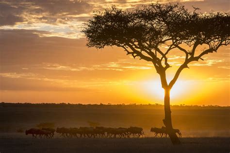 Best Time To Visit Tanzania A Month By Month Guide