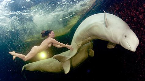 BELUGA BOOGIE Whales Dig Naked Lady Wave Train