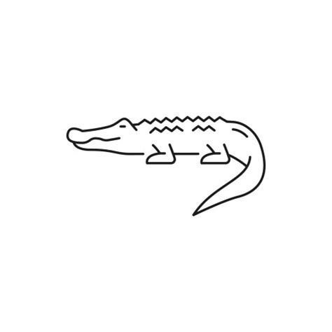 Outline Crocodile Vector Images (over 2,900)