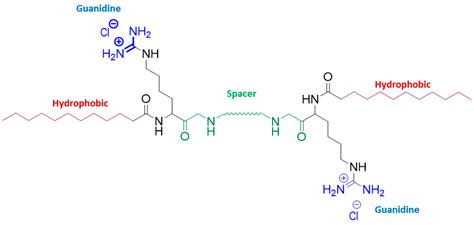 zein nanoparticles  arginine based surfactants