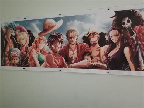 One Piece Timeskip
