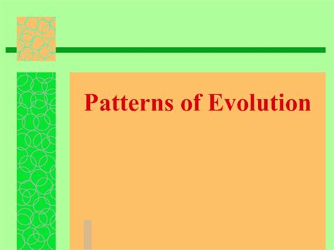 Patterns Of Evolution