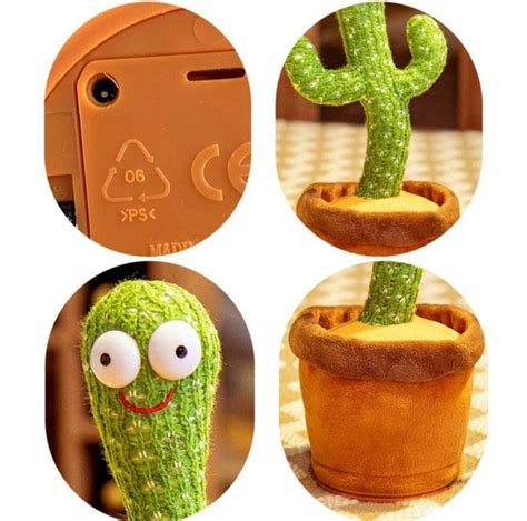 Танцующий кактус мексиканец