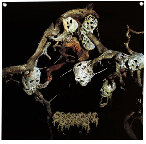 spectral voice sparagmos poster flag ddmsuoeu