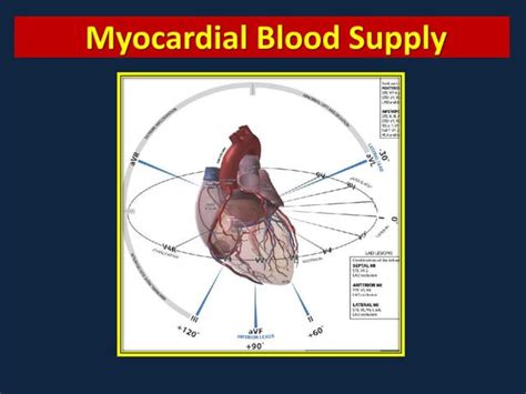 Myocardial Ischemia And Infarction Ppt