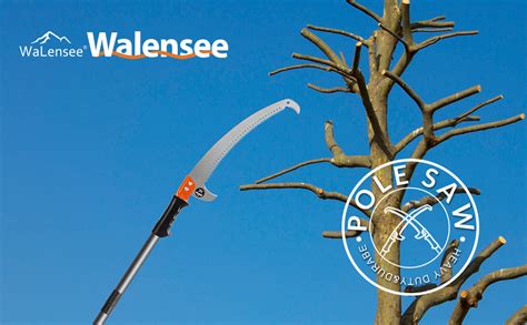 Walensee Pole Saws For Tree Trimming 10ft Lightweight Manual Stainless Steel