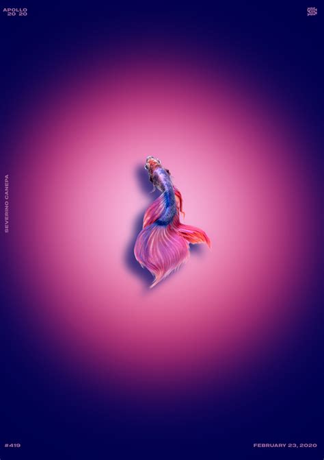 Dancing Fish Poster 419 Severino Canepa
